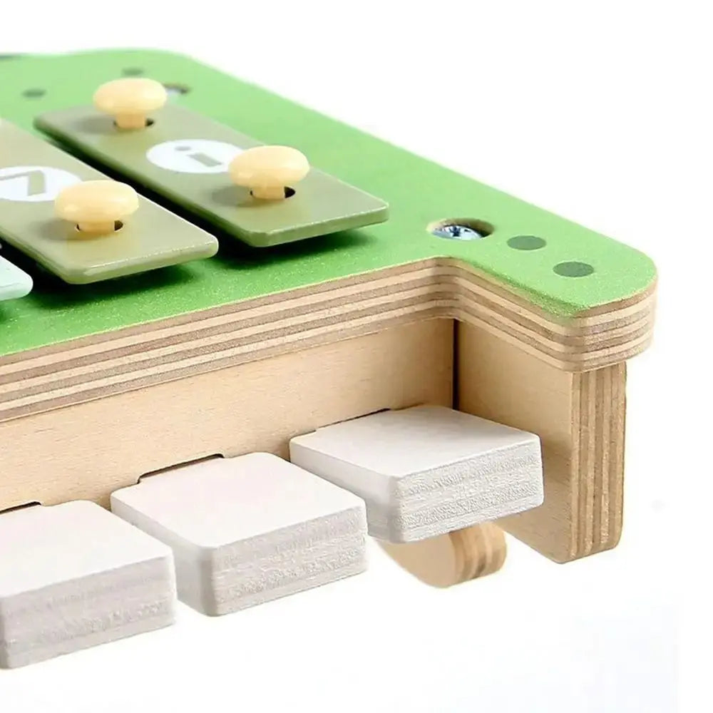 Percussion Xylophone Set for Toddlers